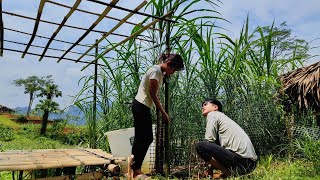 Making a luffa trellis - The hard life of a young couple in the mountains