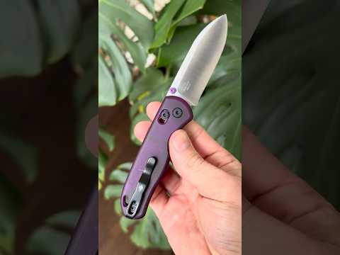 Kizer Drop Bear Nitro-V Crossbar Lock Nested Purple Polycarbonate Azo Mai Budget  light knife
