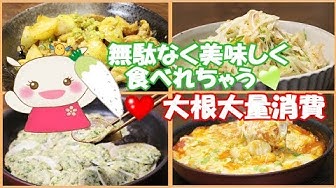 大根 Youtube