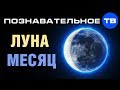 Чем отличается ЛУНА от МЕСЯЦА? (Познавательное ТВ, Артём Войтенков)