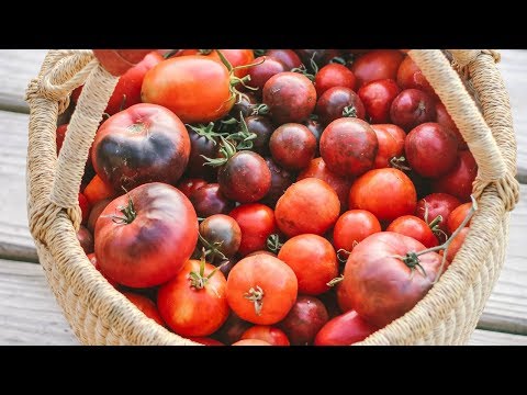 How to Freeze Tomatoes (NO peeling!)