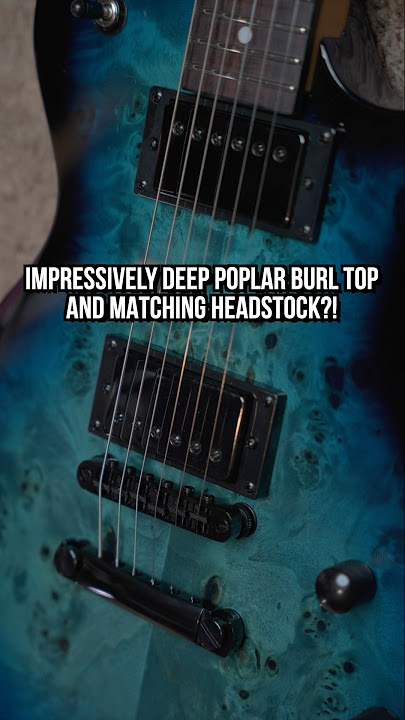 “SCHECTER ARE COPYING LTD”?!