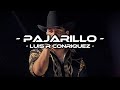 Pajarillo - Luis R Conriquez (LETRA)(EXCLUSIVA)(CORRIDOS 2022)