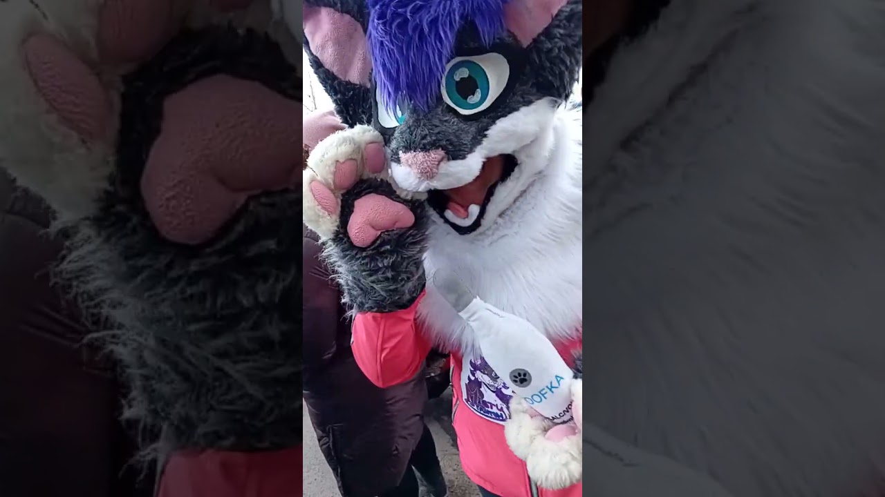 Masopust 14.2. Horní Počernice 2k26 UNCUT ( 6.)