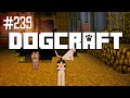 Ocelot HQ | Dogcraft (Ep.239)