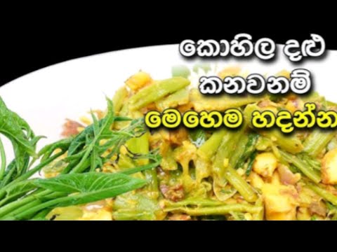 පර ප ප ද ල ක හ ල දළ රසට හද ම ද Lasia Spinosa