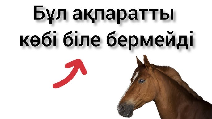 ccc6.ru порно порталы