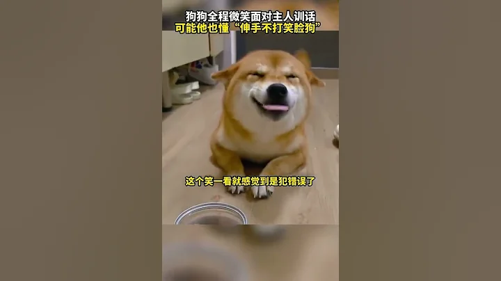 狗狗全程微笑面对主人训话 ～ 网友：伸手不打笑脸🐶！ - 天天要闻