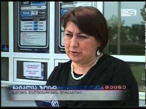 ბათუმის დელფინარიუმი ივნისამდე სტუმრებს ვერ მიიღეებს