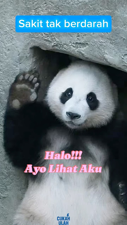 Sakit tak berdarah #meme #memes #memeviral
