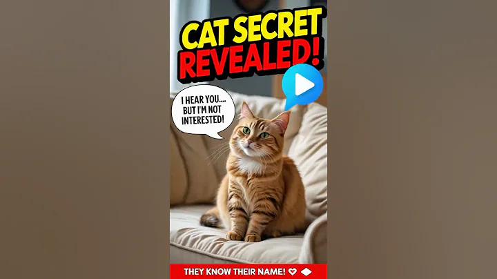 Your Cat KNOWS Their Name... But Here's Why They Ignore You! 😱🐾  #cat #turkishcat #catshorts #cats