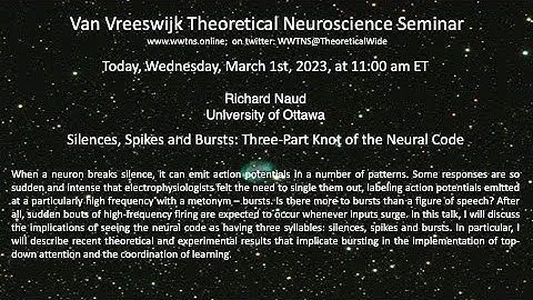 Silences, Spikes and Bursts: Three-Part Knot of the Neural Code| Richard Naud, University of Ottawa