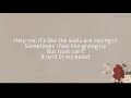 Shawn Mendes-In my blood (lyrics)