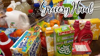 A QUICK GROCERY HAUL