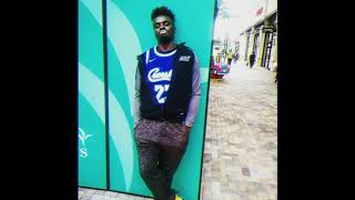 Checkered Flag ( Prod By Apollo Brown )