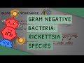 Gram Negative Bacteria: Rickettsia species