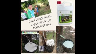 Cara semburan pokok getah dengan Baja k bioboosterplus
