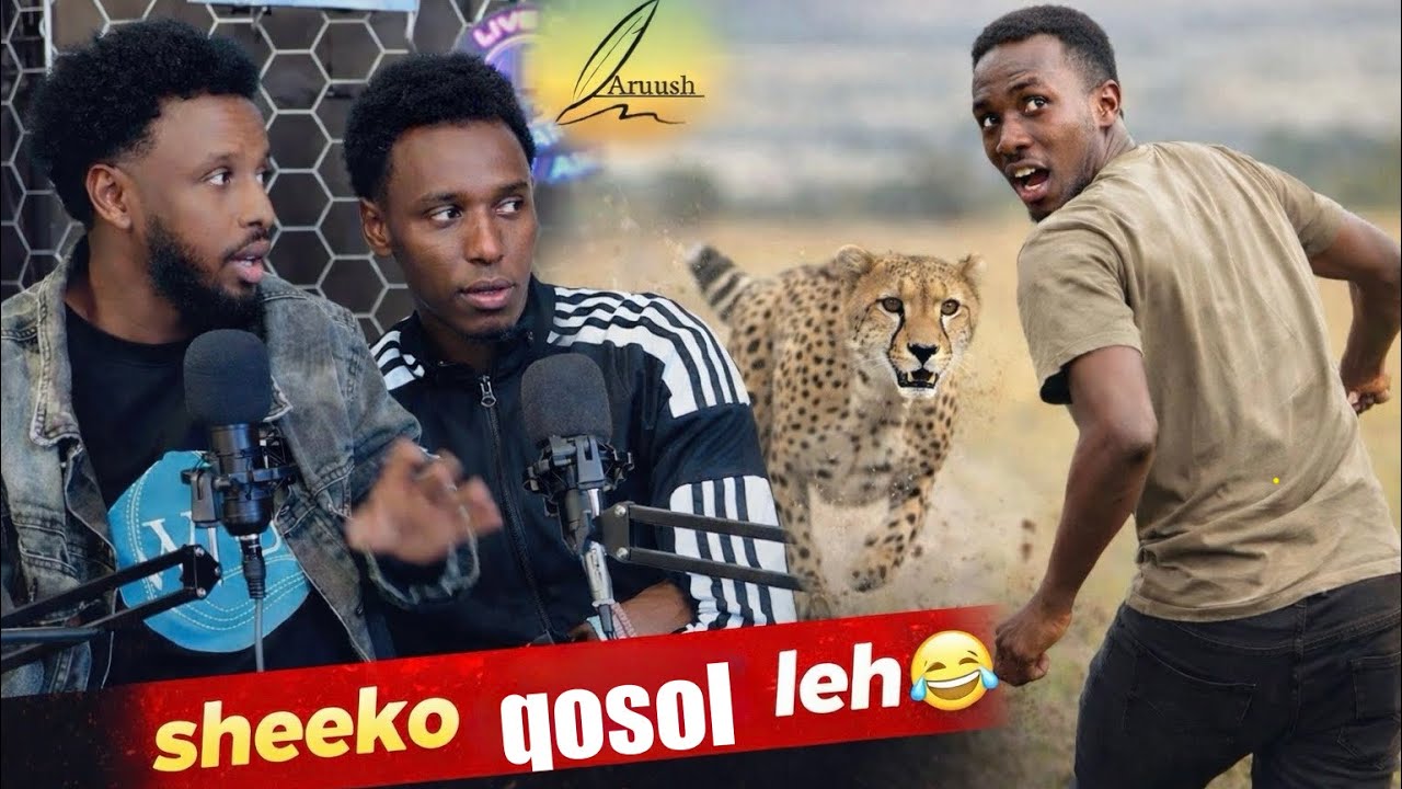 PODCAST PART 1 • SHEEKOOYIN XIISO & QOSOL LEH