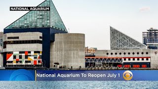 Reopening Maryland: National Aquarium To Reopen July 1