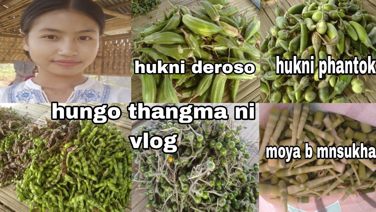 ani para fymani tni c first vlog #shantivlog