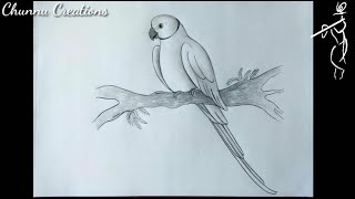 How to draw parrot sketch...|| Parrot drawing..|| Realistic Parrot sketch..