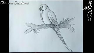 How To Draw Parrot Sketch... Parrot Drawing.. Realistic Parrot Sketch..
