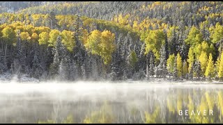 Fall Colors in Beaver Country, Utah