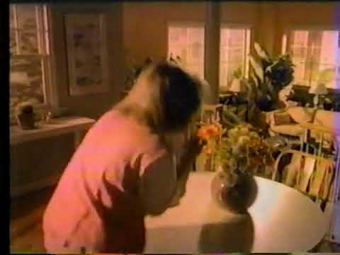 sc johnson company background Pledge ad, 1985