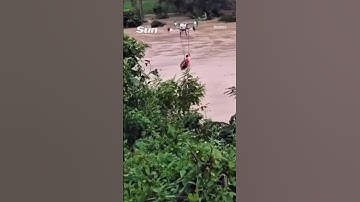 Incredible moment drone SAVES man from drowning as floods hit Vietnam #flood #weather #vietnam