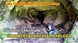 Download Lagu Allahu akbar! Ular Bertapa Keluar Dari Goa Purba Di Pegunungan Jawa Timur MP3