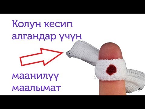 Колду кесип алганда эмне кылуу керек?//Bilesinbi.kg