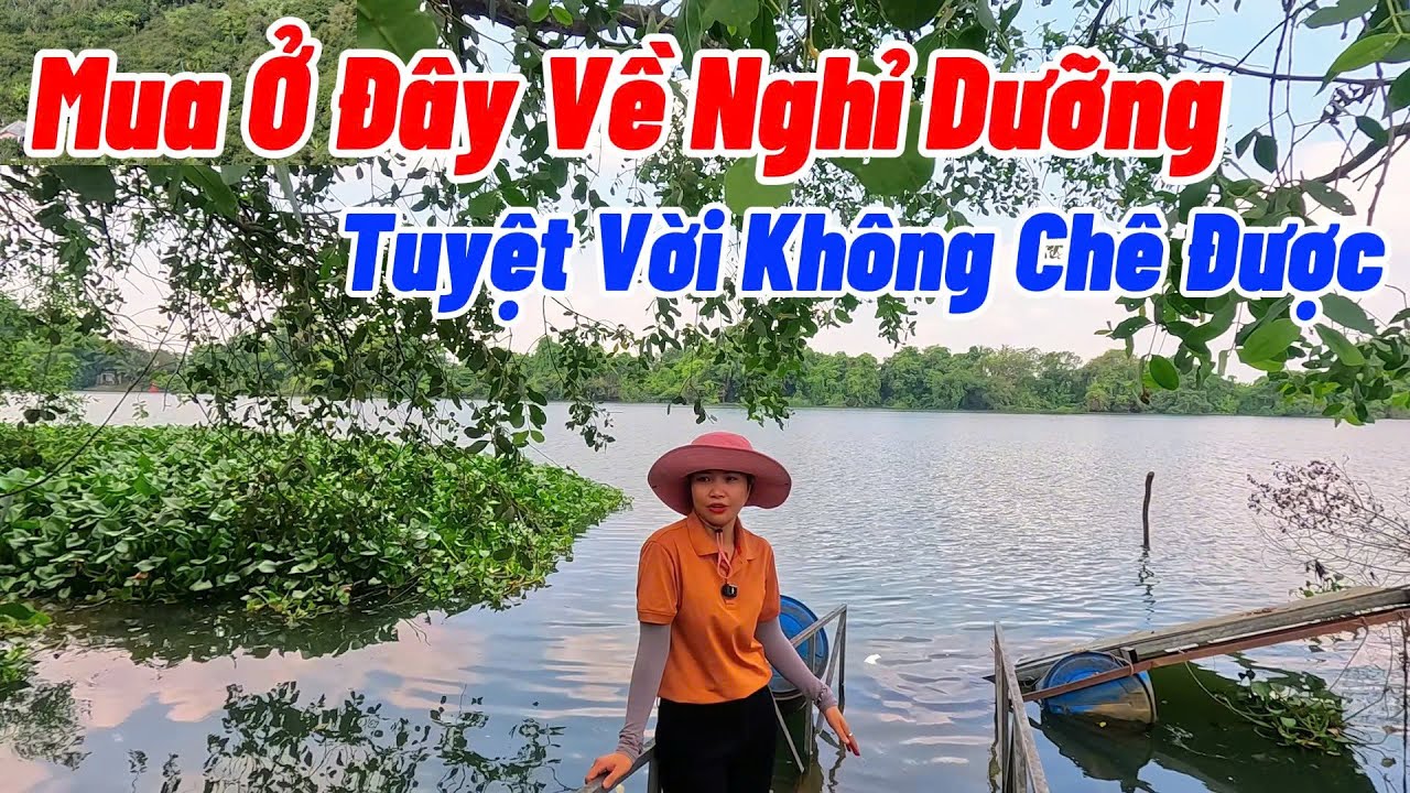 Chủ Quá Đuối Không Còn Tâm Trạng Nghỉ Dưỡng Cần Bán Gấp Nhà Vườn Ven Sông | NHÀ ĐẤT ĐỒNG NAI GIÁ RẺ