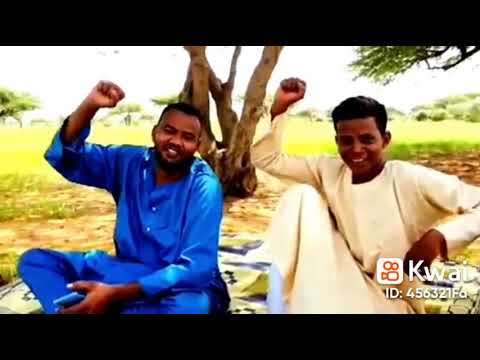 قناة السدارنة الفضائية 2