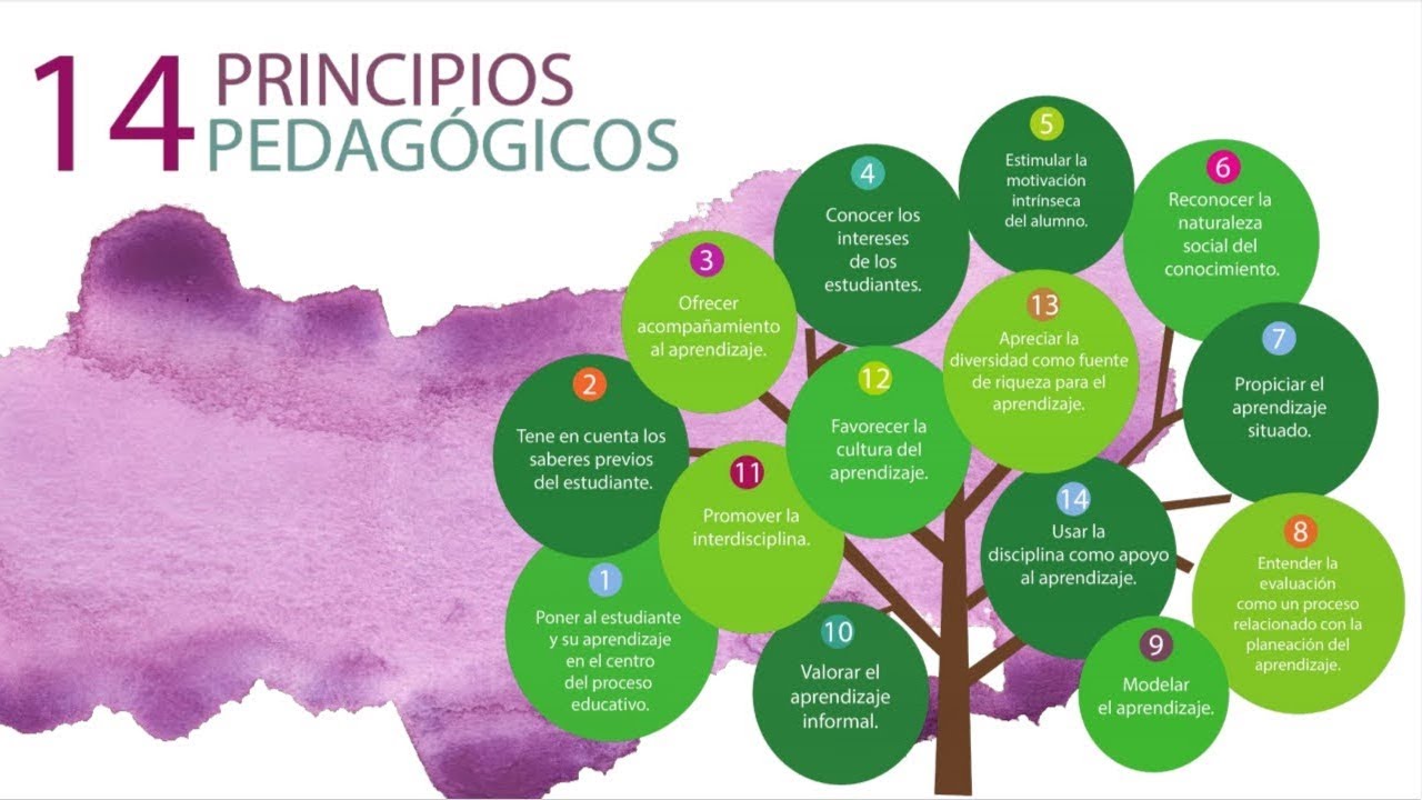 Los 14 Principios Pedagógicos Del Plan De Estudios 2017 – YSKUT