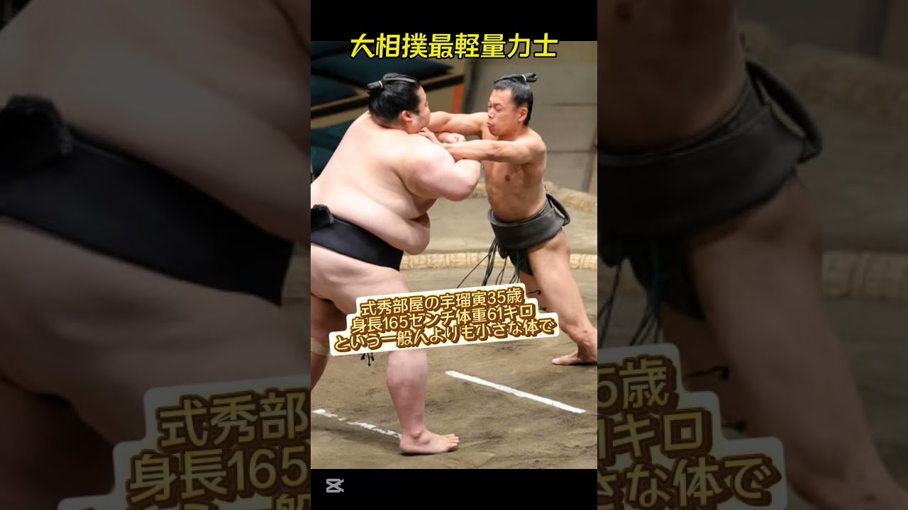 大相撲　反物　式秀部屋　２反セット 2025年最新】式秀部屋の人気アイテム - メルカリ