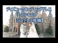 ウェディングドレス ディズニー ディズニーのウェディングドレスランキング【シンデレラ城編】
