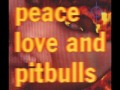 Peace Love And Pitbulls - 09 - Futurehead