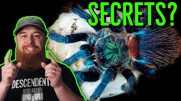 5 Things I Wish I Knew BEFORE Getting A Pet Tarantula!