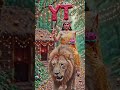 मंदिर चमके तोहारजगदंबा#love#durgapuja#explore