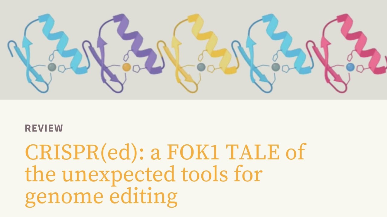 📰 Unveiling Genome Editing Evolution from Zinc Finger Nucleases to