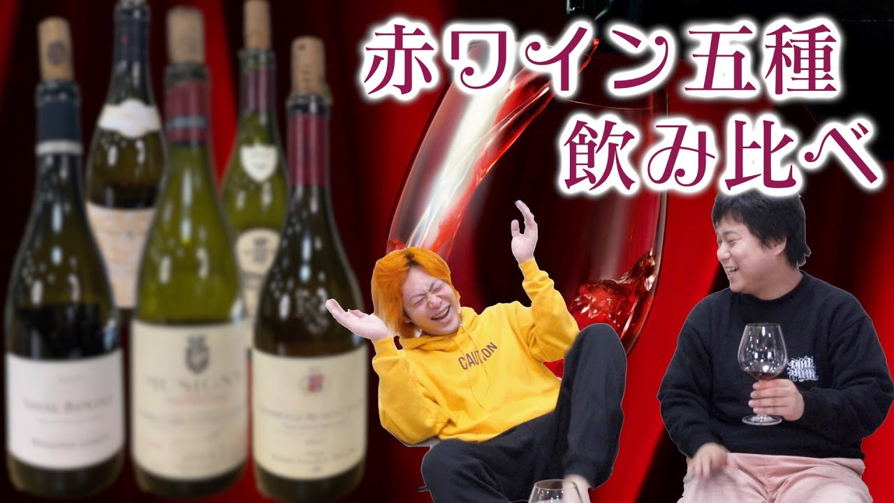 【大人ごっこ】おい！高級赤ワインの味、俺らにわかんのかい！！！！ききワイン会！！！！！【泥酔ギリ無し】