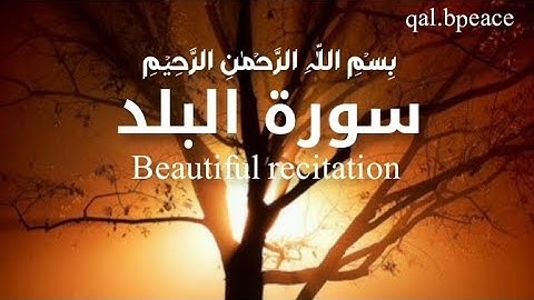 Surat_ Al-Balad (The City) |Qari Abdul wahab chang |   سورة البلد