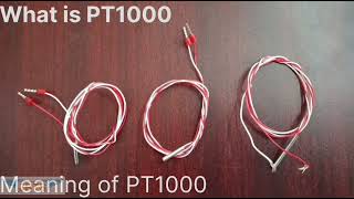 PT 1000 RTD Sensor - What is the Meaning of PT-1000