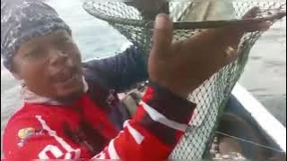 Mancing lagi Masbro tarikan talang buat joran hampir patah (@goofishingmania6703)