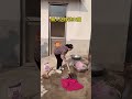 我是这样洗衣服的 #看一遍笑一遍 #五嫂爱搞笑