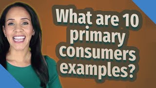 What are 10 primary consumers examples?