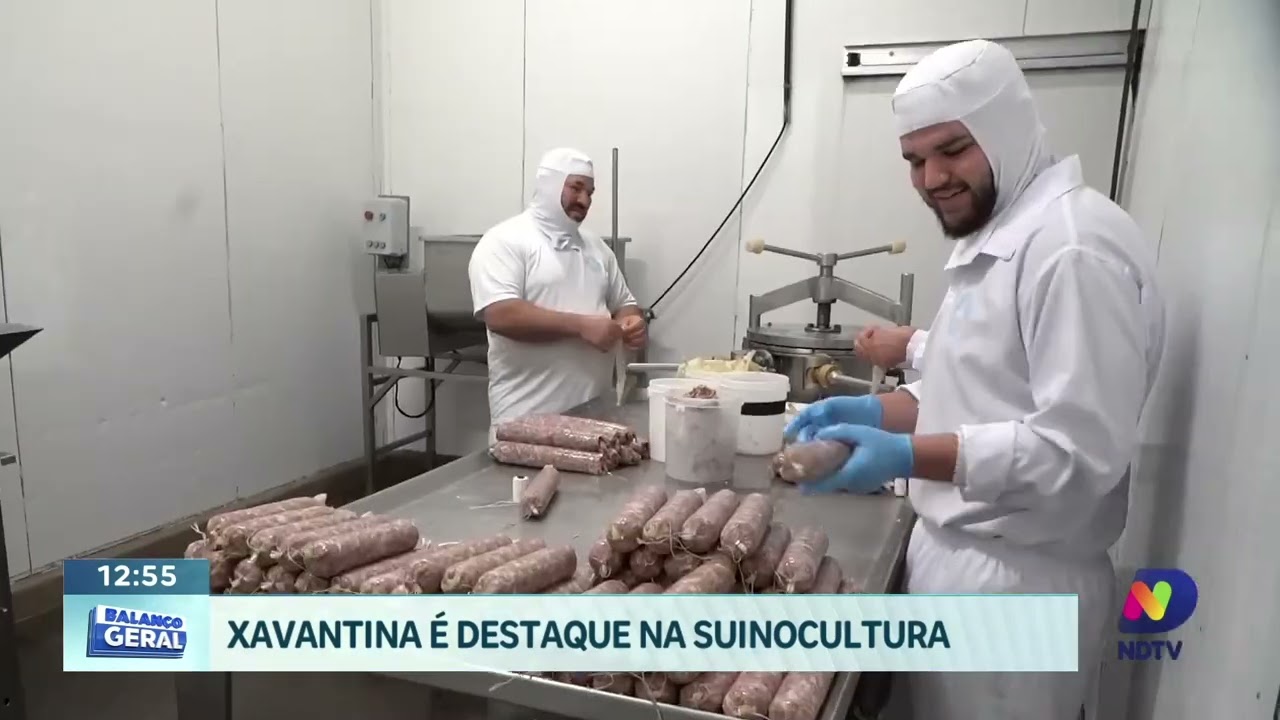 Xavantina se destaca na suinocultura com mais de 200 mil animais