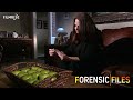 Forensic files  season 13 episode 2  house hunting  full episode