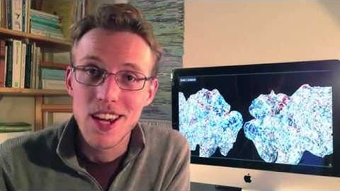 Perceptual Object and Action Maps in the Human Brain