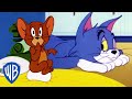 Tom & Jerry em Português | Brasil | Desenho Animado Clássico 115 | WB Kids